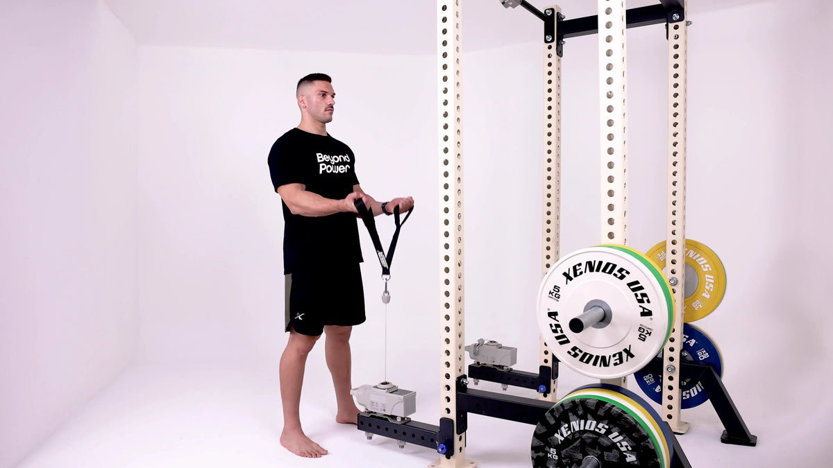 Biceps Curls (Low Pulley)